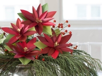 Lia Griffith Paper Poinsettia